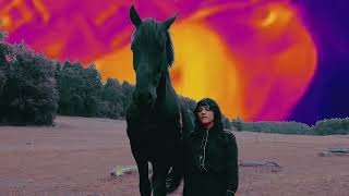 Mount Jacinto – “The Reason”