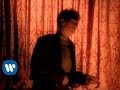 k.d. lang - Pullin' Back The Reins (Video)