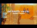 Ee Kaattu Vannu S L O W E D R E V E R B Adam Joan Lilvibe