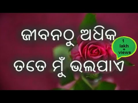 Odia Shayari Love Shayari Odia Love Shayari Love Quotes