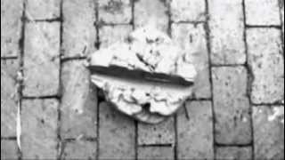 IRMA VEP - 'No one allowed'