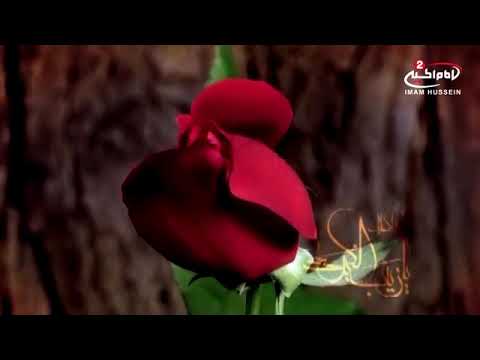 ⁣ولادة السيدة زينب عليها السلام