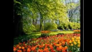 Maher zain paradise lyrics