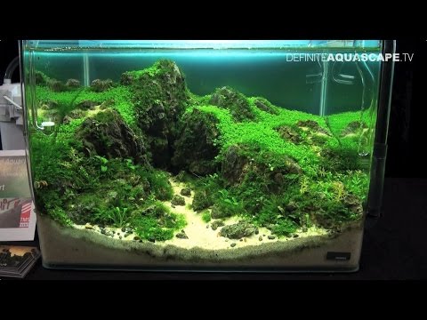 The Art of the Planted Aquarium 2015 - Dennerle Scaper's Tank (Nano) compilation pt.1