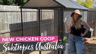New Chicken Coop Honest Review - Royal Rooster