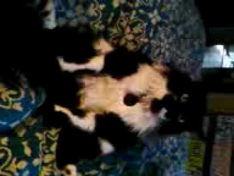 Kiefer is Loungin' 2