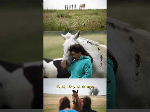 Retiro constelaciones con caballos 16, 17 y 18 mayo 2026 Concepción del Uruguay AR con Lía Spatakis