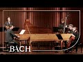 Bach - Concerto for two harpsichords in C major BWV 1061 - Corti/Henstra | Netherlands Bach Society