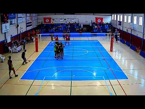 CARNIQUES SUNYER CVM 1NM - RODI BALAFIA LLEIDA