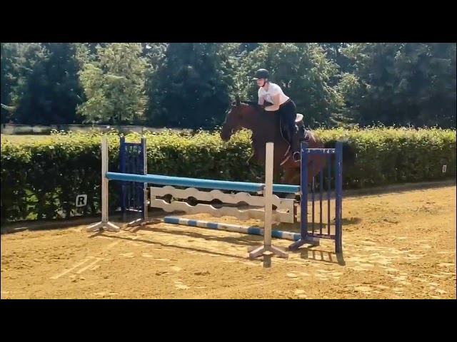 Under the saddle
