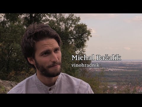 Zmena je v tebe - Michal Bažalík