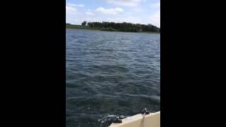 West Wight Potter AX Rutland Water, England