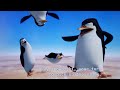 An Audio Description In Penguins Of Madagascar