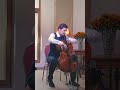 This is How a Swan 🦢 Sounds on the Cello 🎻 #cello #music #saintsaens