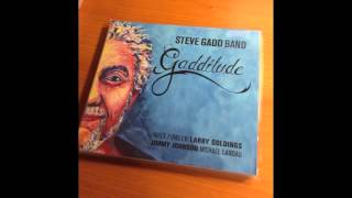 Steve Gadd Band 