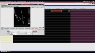 CapTrader Trader Workstation TWS und AgenaTrader Einführung ins Trading