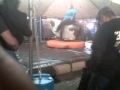 Ms Thickness Rides Mechanical Bull