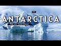 Antarctica The Icy Continent Hindi Infinity Stream