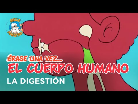 Once Upon a Time... The Human Body - Digestion
