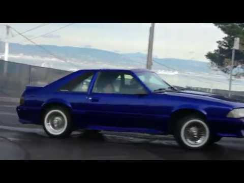 FIDEL CASH - BRING BOOBIE BACK