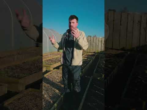 Cultivating Self-Sufficiency: The Power of a Positive Mindset