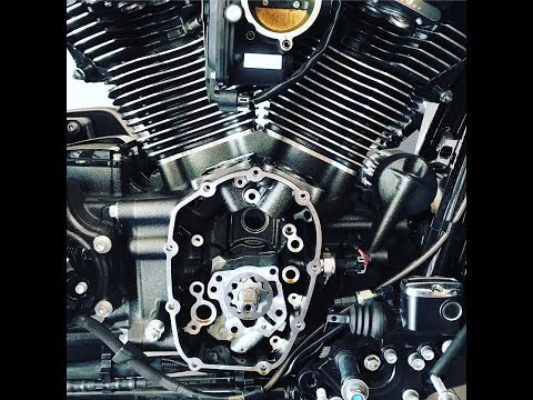 Harley-Davidson Milwaukee-Eight Cam Removal | M8 | Fat Head Cycles