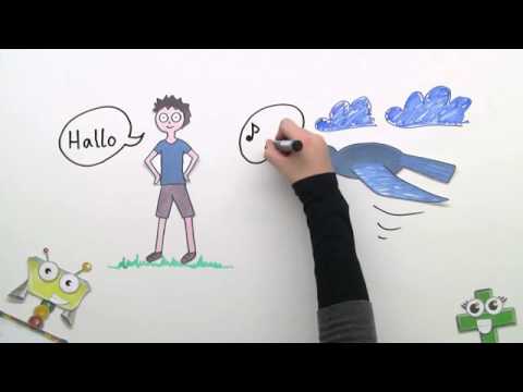 Körper und ihre Eigenschaften | Mathematik | Geometrie