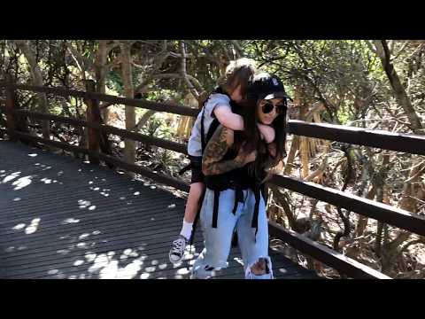 First time using the Freeloader