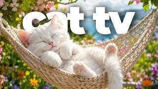 Cat TV for Cats to Watch 🐦🐠 10 Hours of Birds, Underwater Adventures & Relaxing Music for Cats