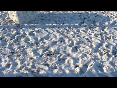 8k seamless material - grass under snow