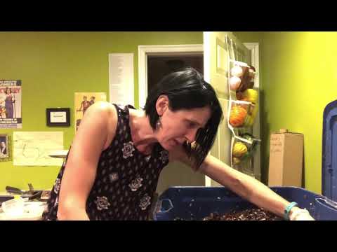 Cardboard vs Coir Disaster