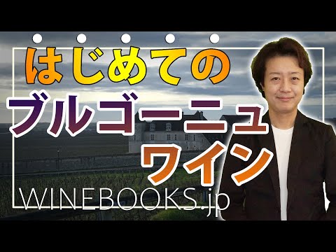 Primer vino de Borgoña | Explicación del panorama general y de las características