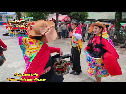 Orquesta Internacional Ases Perú 2025 -- Primicias Huaylarsh