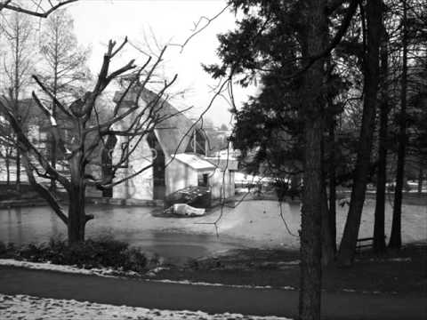 Neafirmisan - Praznina (2011)