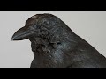 Caw Caw Blues: Terry Allen's Tribute to his friend, Guy Clark