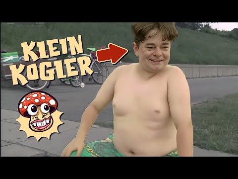 Klein Werner Kogler hat große Pläne