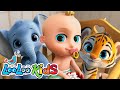 Johny Johny Yes Papa With JUNGLE Animals Animal Song Nursery Rhymes Kids Songs LooLoo Kids