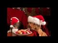 CHRISTMAS AT RAINBOW BRIDGE (HD) - Scott ...