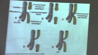 5-[Special embryology] Dr.Hanan (Development of stomach and duodenum)14/3/2016