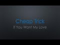Cheap Trick If You Want My Love Lyrics