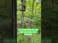Hidden gem in Eagle Creek Park in Indianapolis - Go Ape Zipline and Adventure Park!!