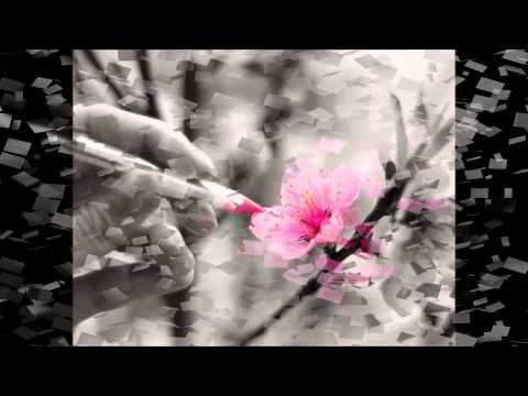 Efa eto- Do Rajohnson