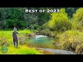 THE BEST FLY FISHING TROUT FISHING VIDEO Best Of Compilation 2023