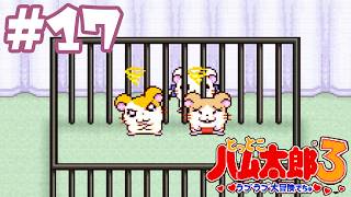 #17 初老男性、老人にどすこいする『とっとこハム太郎３ ラブラブ大冒険でちゅ』攻略実況プレイ
