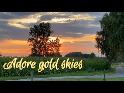 Adore gold skies | View of the sunset in front of house