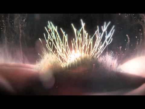 Dj Kharma   Resurection  Pacific Wave Radio Edit