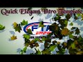 Intro Template Sony Vegas Pro Autumn Leaves Logo Reveal Free Download