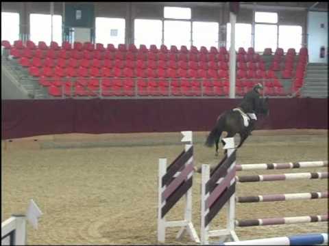 Licanto-Esteban xx Stute * 2006