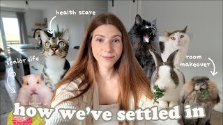 Moving to a New Home with Pets: Stress-Free Relocation Blueprint