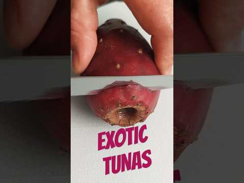 How to PEEL & cut PRICKLY PEAR Cactus FRUITS perfectly #howto #food #exotic
